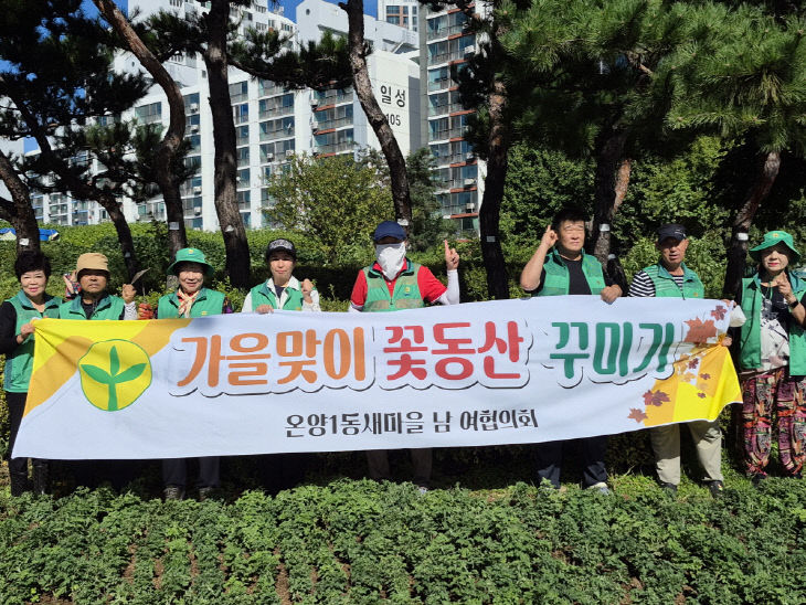 4. 아산시 온양1동 새마을지도자협의회, 추석맞이 가을꽃 식재