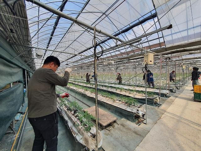 보은 스마트농업