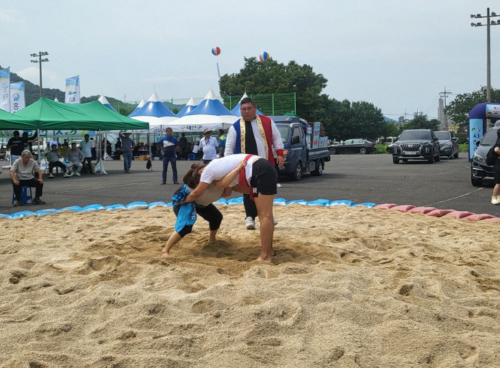 2.2024년 민속대제전 씨름 경기