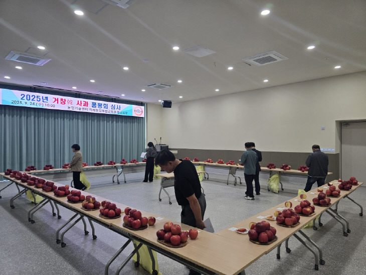 사과 품평회
