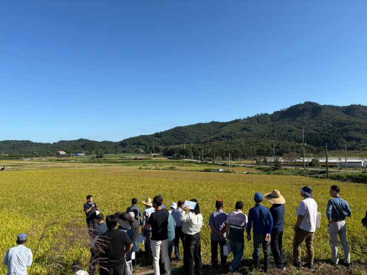 보