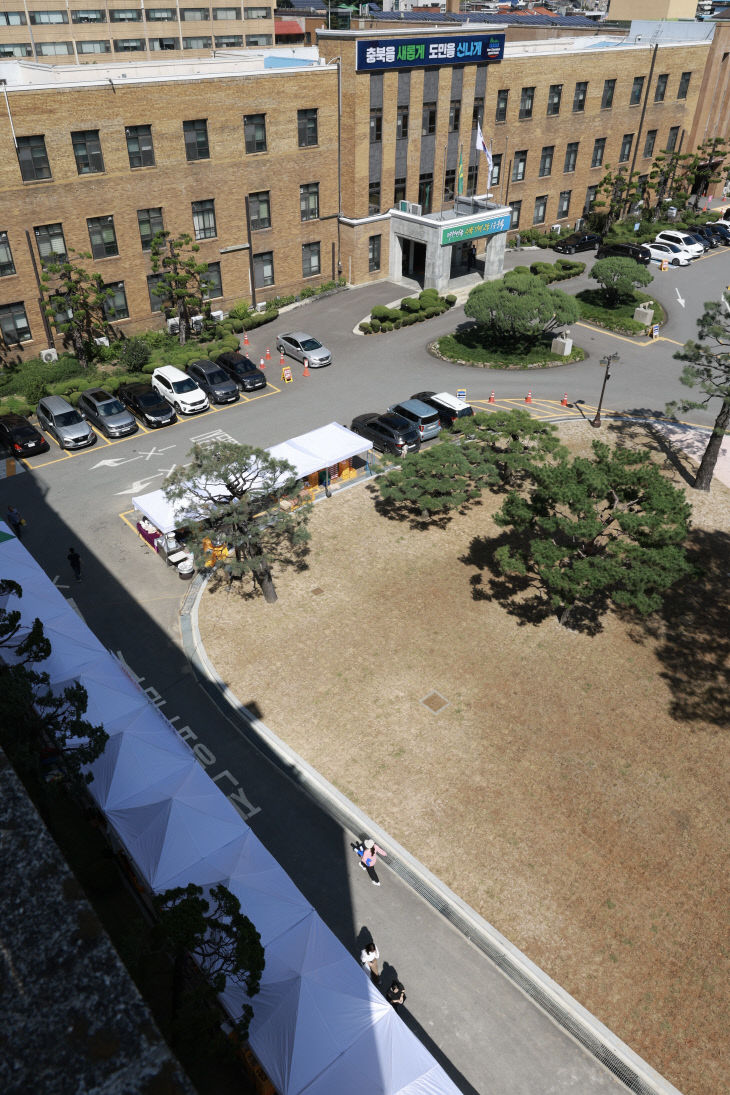 충북도청 잔디광장