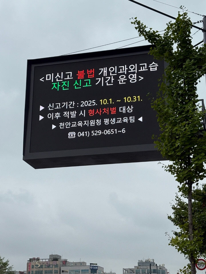 시청앞 전광판 사진