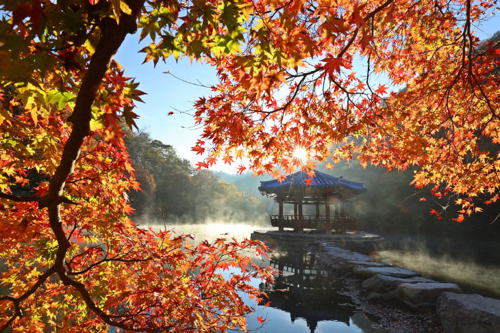 정읍의 가을(우화정) (1)
