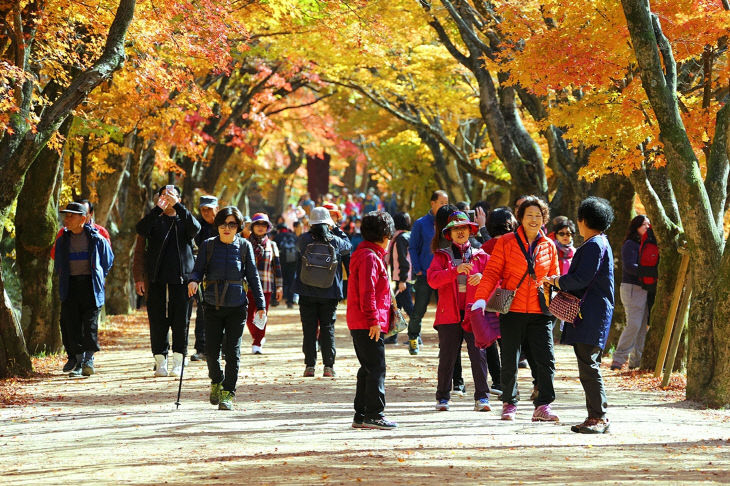 정읍의 가을(내장산)1
