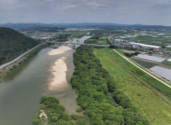 경남 의령군 남강 대 수변림 모습