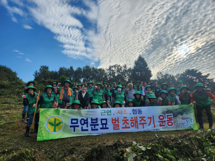 13.봉산면 새마을 무연분묘 벌초 활동 모습