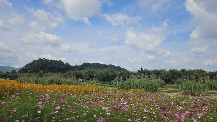 가을창포원 전경
