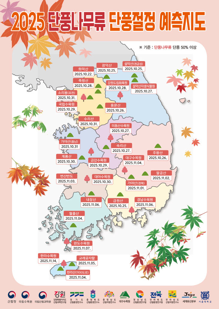 ㄷㅏㄴㅍㅜㅇㄴㅏㅁㅜㄹㅠ ㅇㅖㅊㅡㄱㅈㅣㄷㅗ