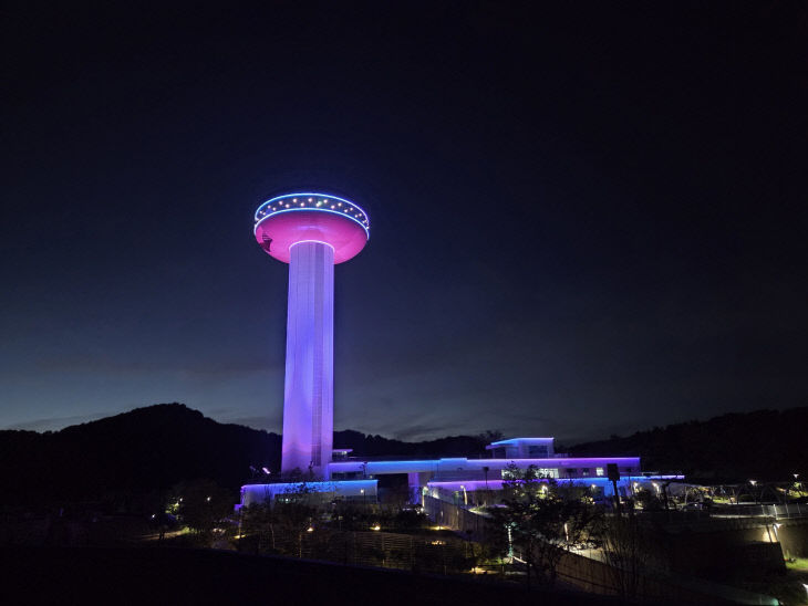 전망대 야경 (2)
