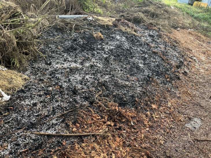 소각처리된 딸기 부산물