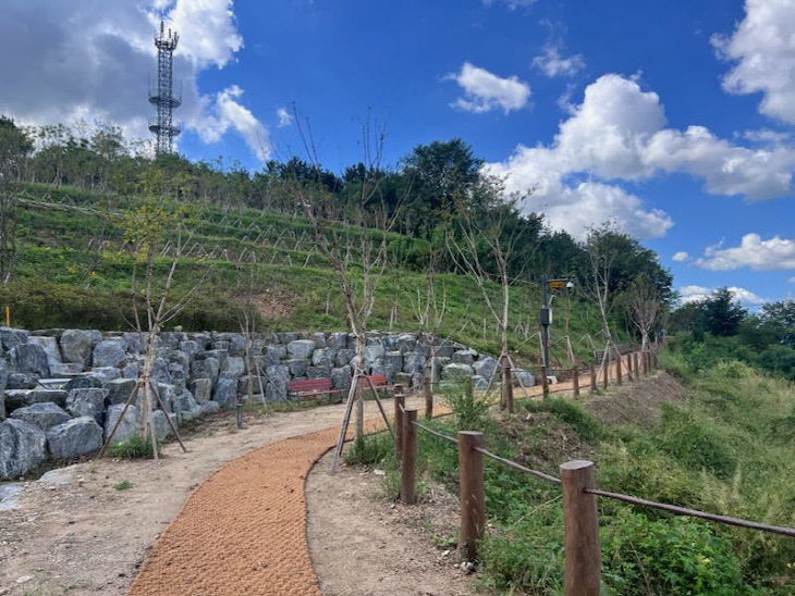 4.봉대미숲 산책로