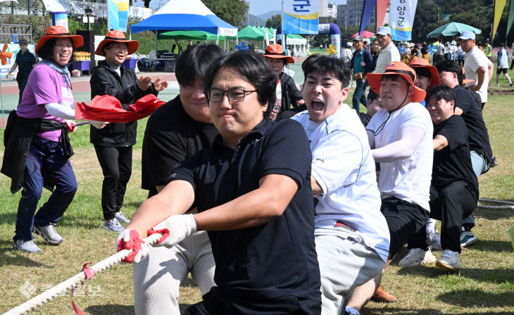 씨름