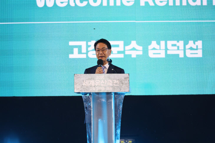 세계유산축전 개막식(2)