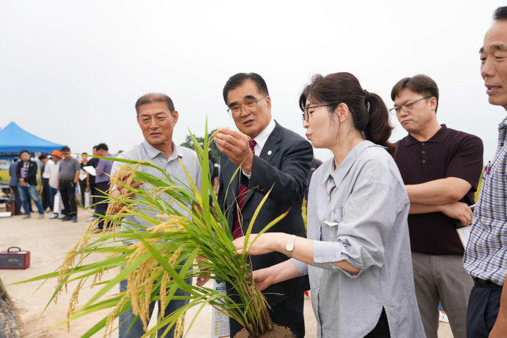 벼 직파재배 현장평가회