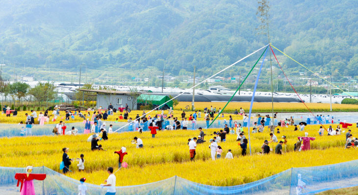 지난해 축제 모습