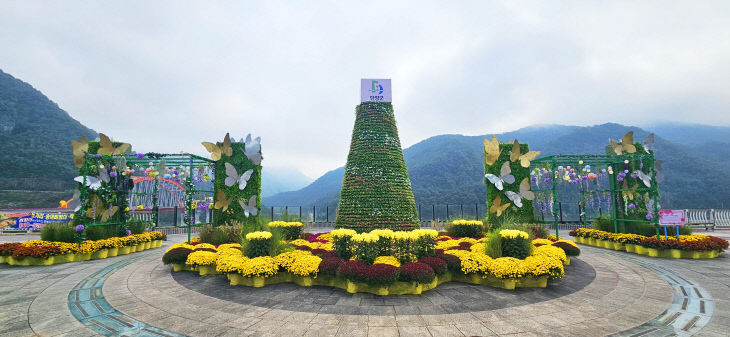 보도 1) 다누리센터 국화거리(1)