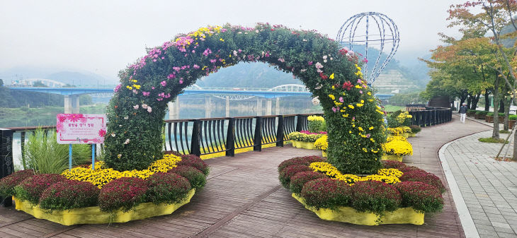 보도 1) 관광호텔 앞 국화거리(1)