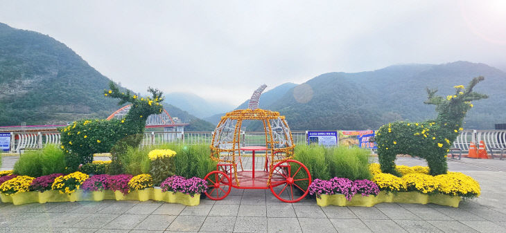 보도 1) 다누리센터 국화거리(3)