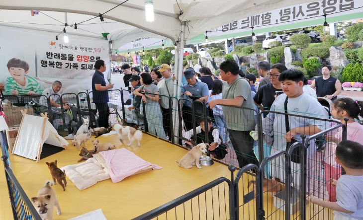 임