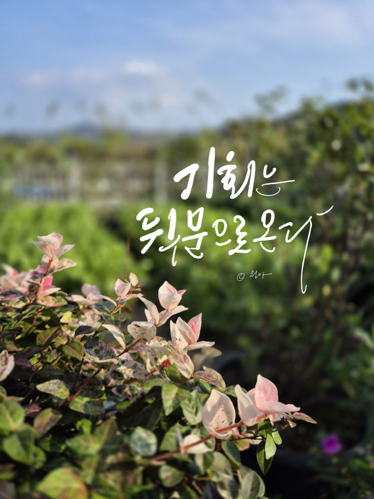 KakaoTalk_20251010_084535811