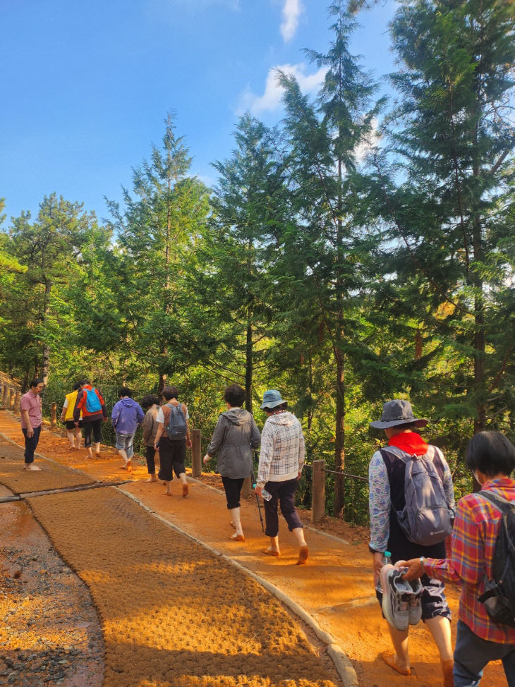 봉대미숲 황톳길 맨발걷기 행사 모습 (1)