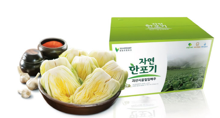 괴산절임배추 (2)