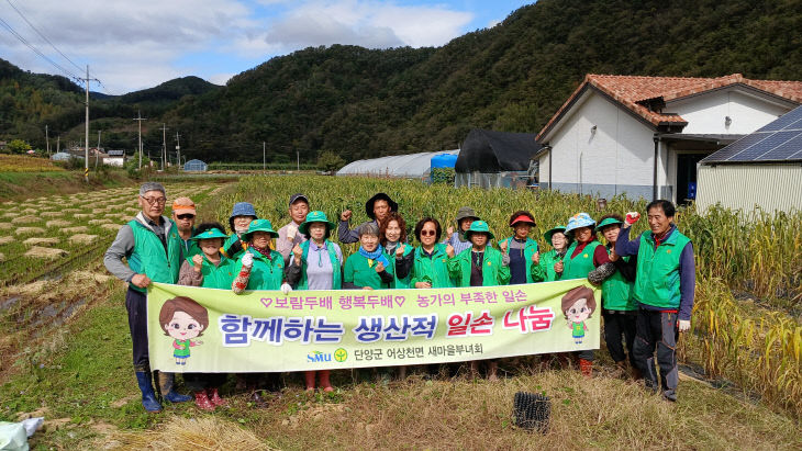 보도 2) 새마을 조 수확(1)