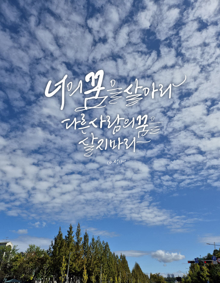 KakaoTalk_20251016_080952811