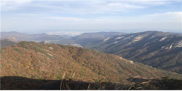계룡산