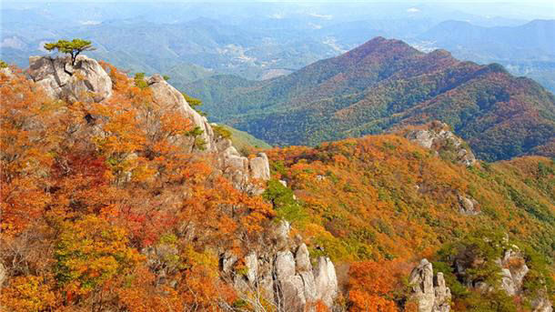 대둔산