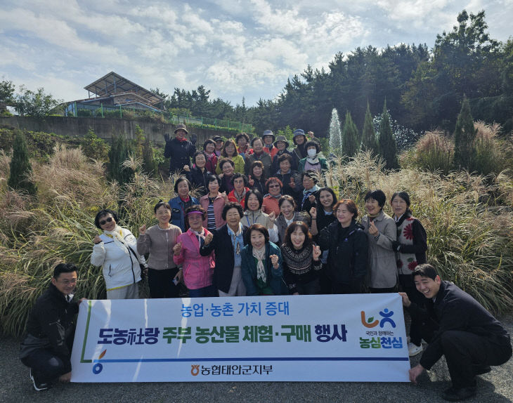 체험단
