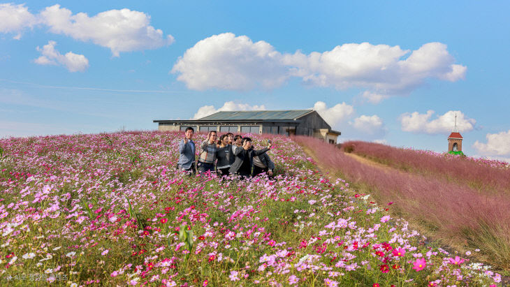 보령시