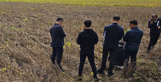 괴산군 관계자들이 농작물 피해 현황을 조사하고 있다