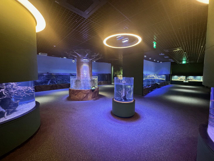 보도 3) 다누리아쿠아리움(3)