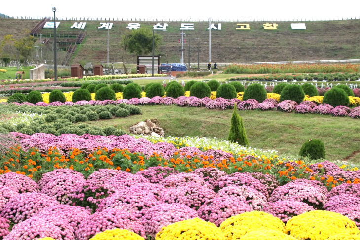 고창 꽃정원(1)