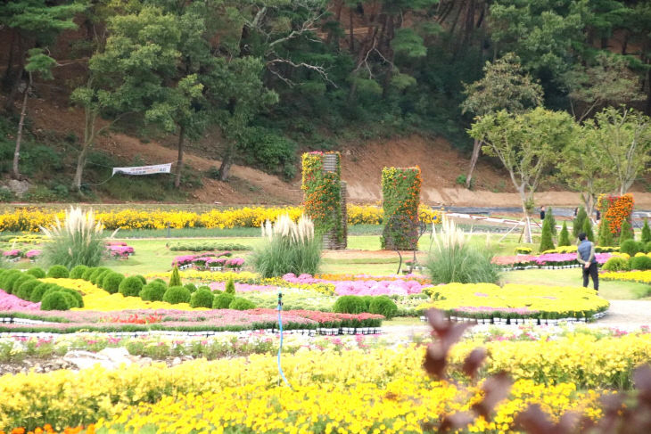 고창 꽃정원(2)