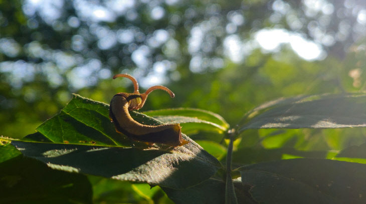 제 19회 전국상작