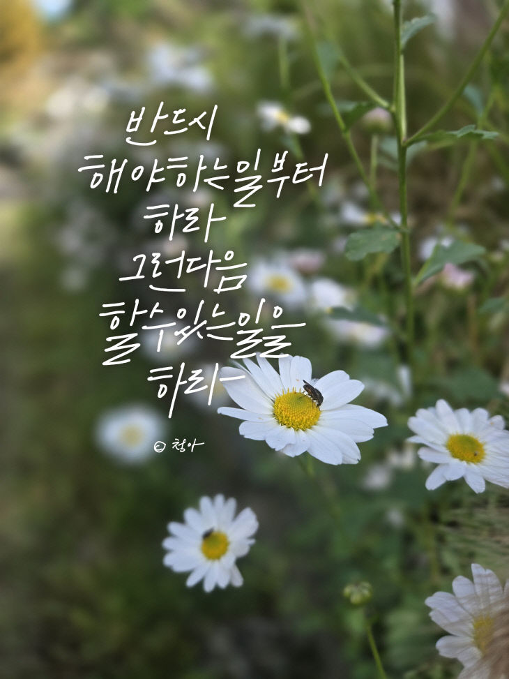 KakaoTalk_20251028_081859240