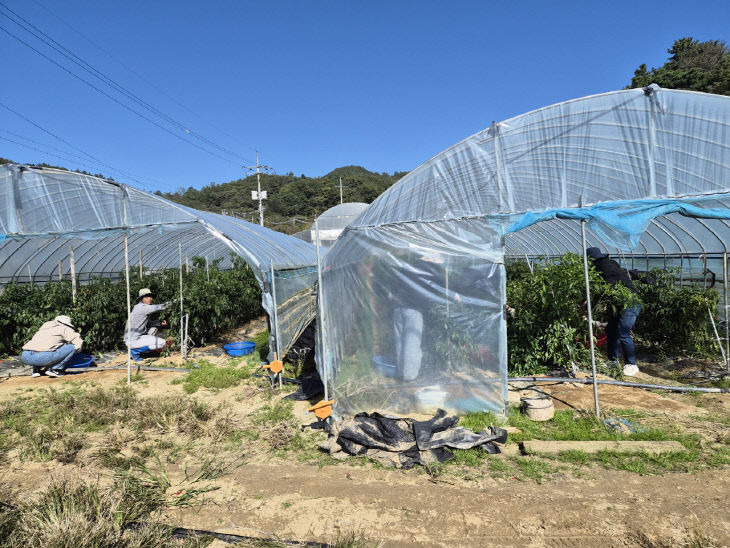금산군청 가족정책과, 농촌일손돕기