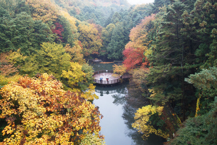 2025 모범도시숲으로 선지 전경