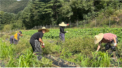 KakaoTalk_20251029_144256456_01