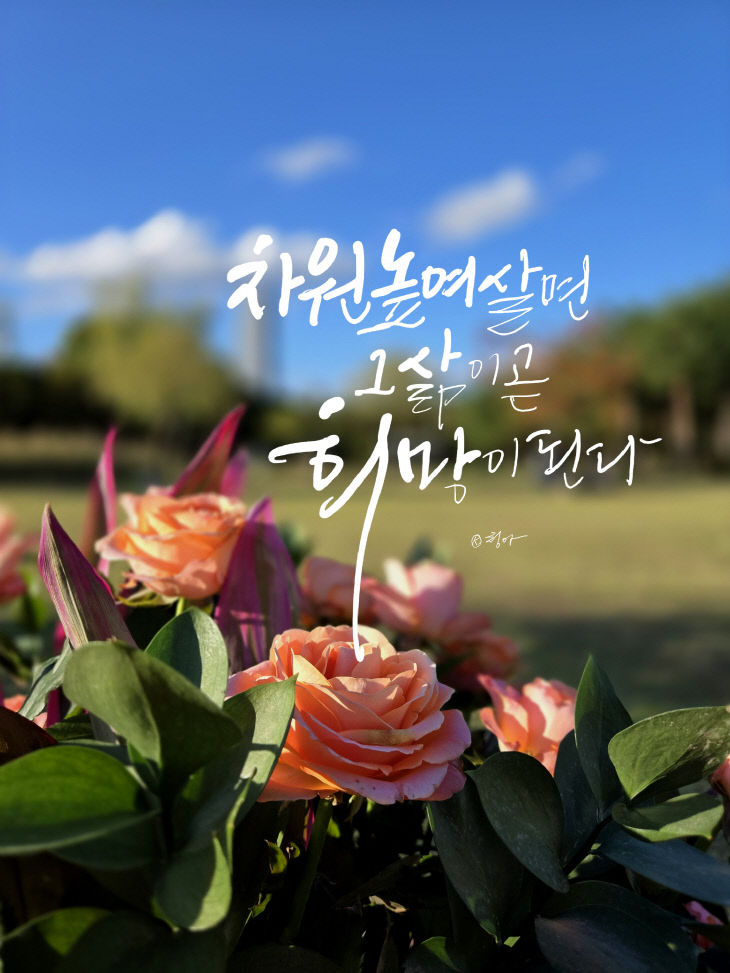 KakaoTalk_20251028_082020432