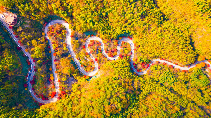 보도 1) 보발재(2)