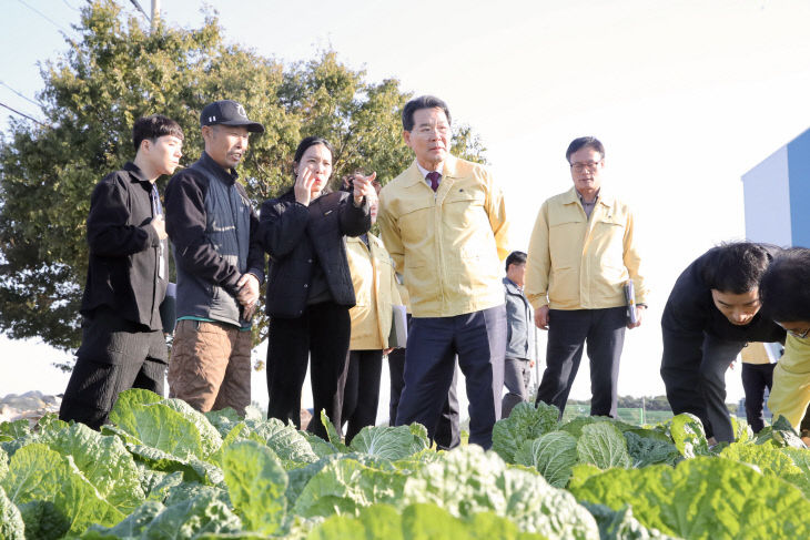 권익현 부안군수  김장 채소 병해충 피해 현장 방문3