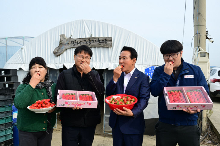 조이베리 첫 출하 기념식