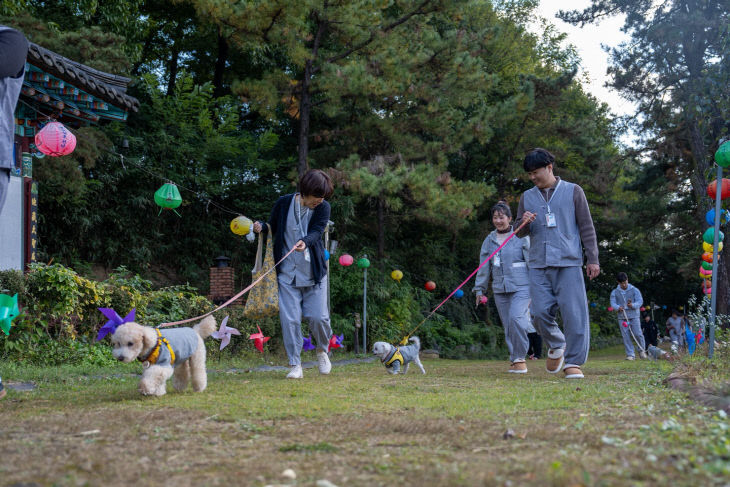 증평미륵사 댕플스테이  2