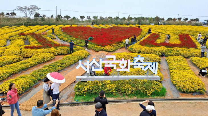 2. ②2023년 11월 3일부터 12일까지 개최된 서산국화축제 모습1