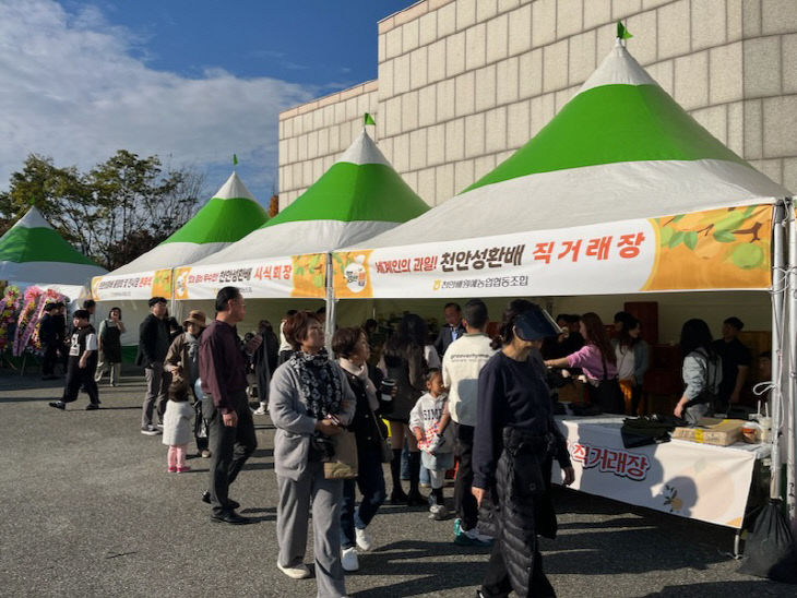 성환읍(성환배축제) (3)