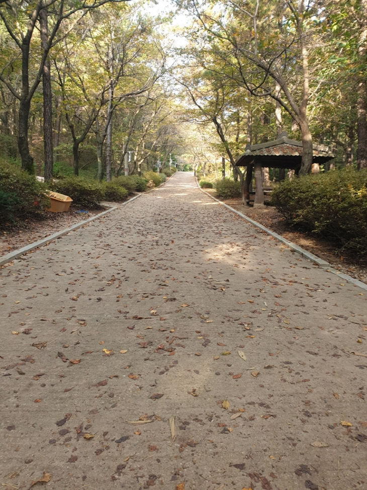 [기획]의정부시가 추천하는 ‘가을에 걷기 좋은 길 베스트 직동